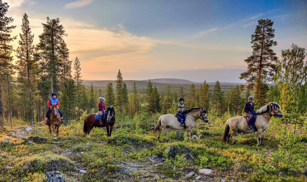 horse trail riding under the midnight sun at Lapland, rovaniemi.