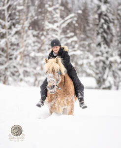Person riding horse in snowy landscape in Lapland Rovaniemi