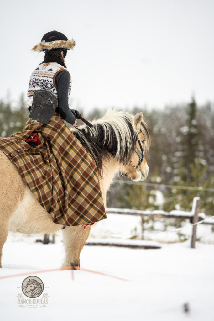 Person riding horseback archery in snowy landscape with finnhorse